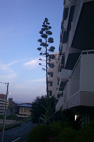 50NɈx