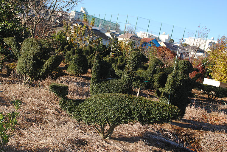 �����Q�H