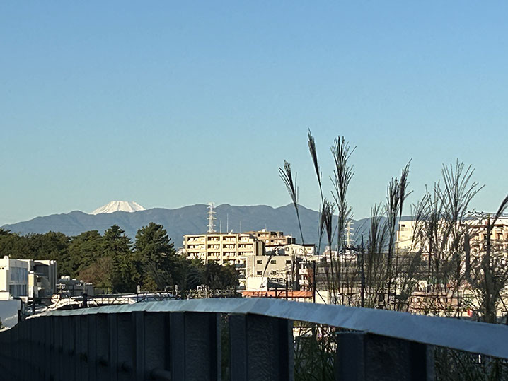 �t�悩��̕x�m�R