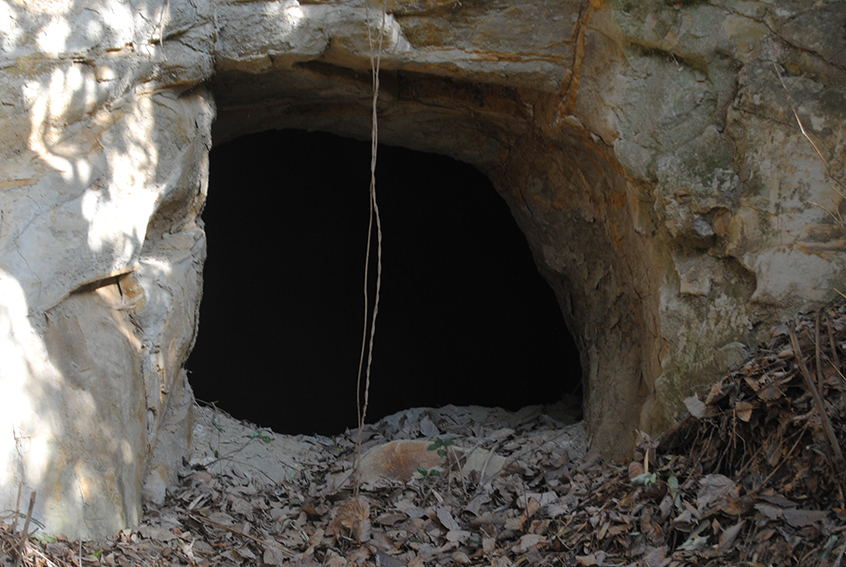 �`�q�c����