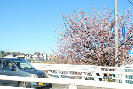 ��Ԑl�����ۂ̍�