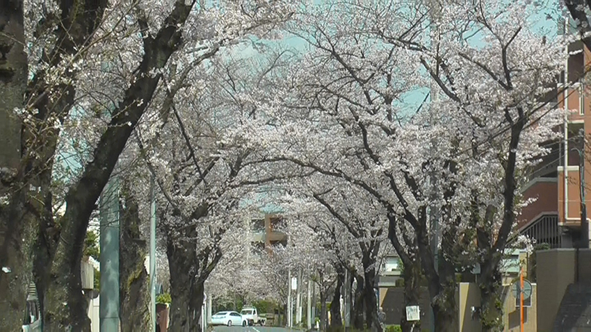 �����ݖ���ʂ�