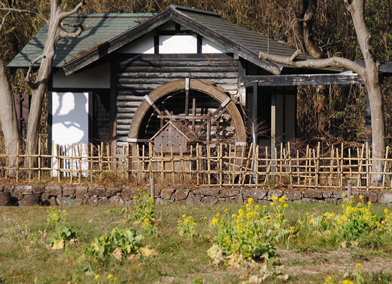 �ӂ邳�Ƒ��̐���