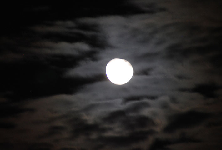 �X�[�p�[���[��